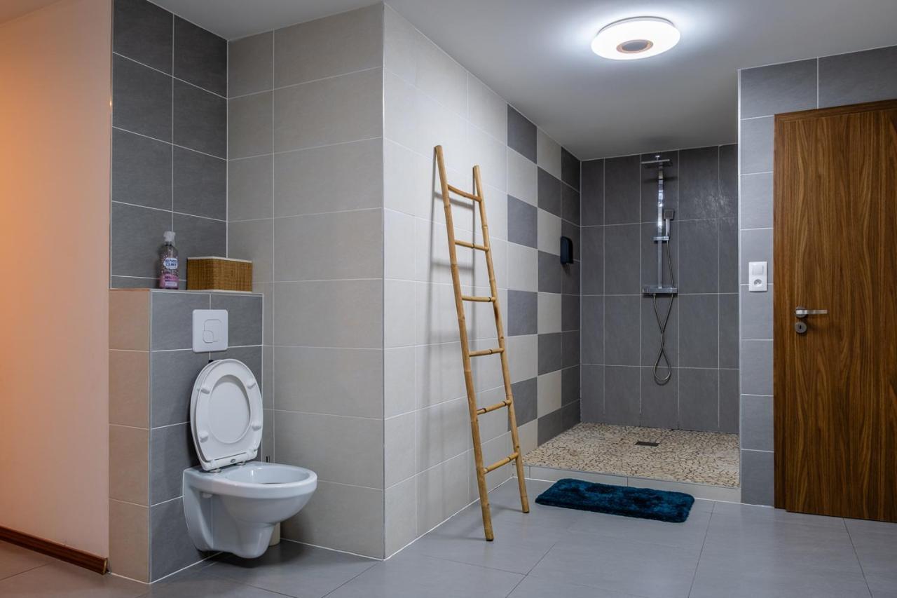 Appartement Standing Piscine Interieur Privatisee . Mutzig Exterior foto
